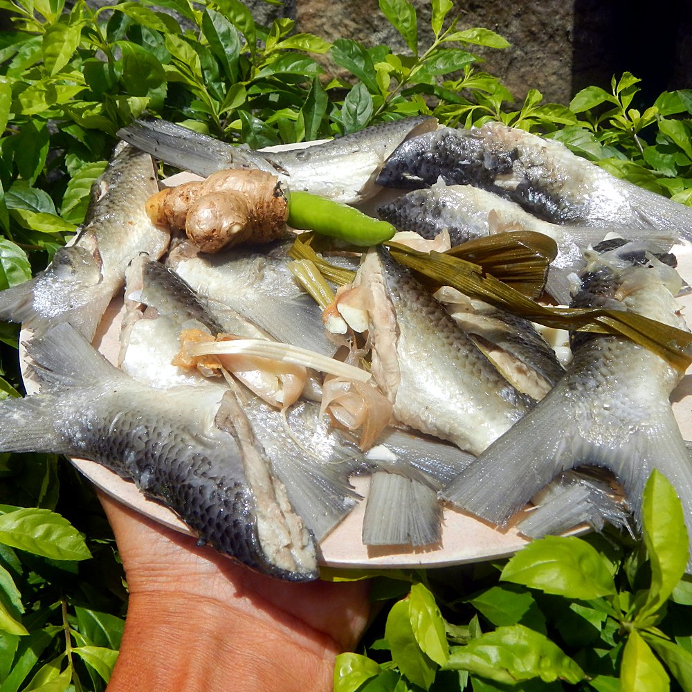 Paksiw na Isda